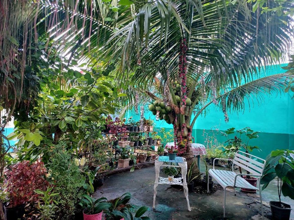 Pete'S Inn Roxas City Exterior photo